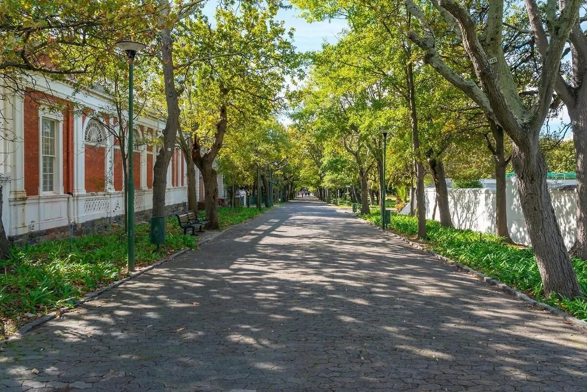 Luxurious Hotel-Type Living Couples Retreat- Pool Cape Town 0*,  South Africa